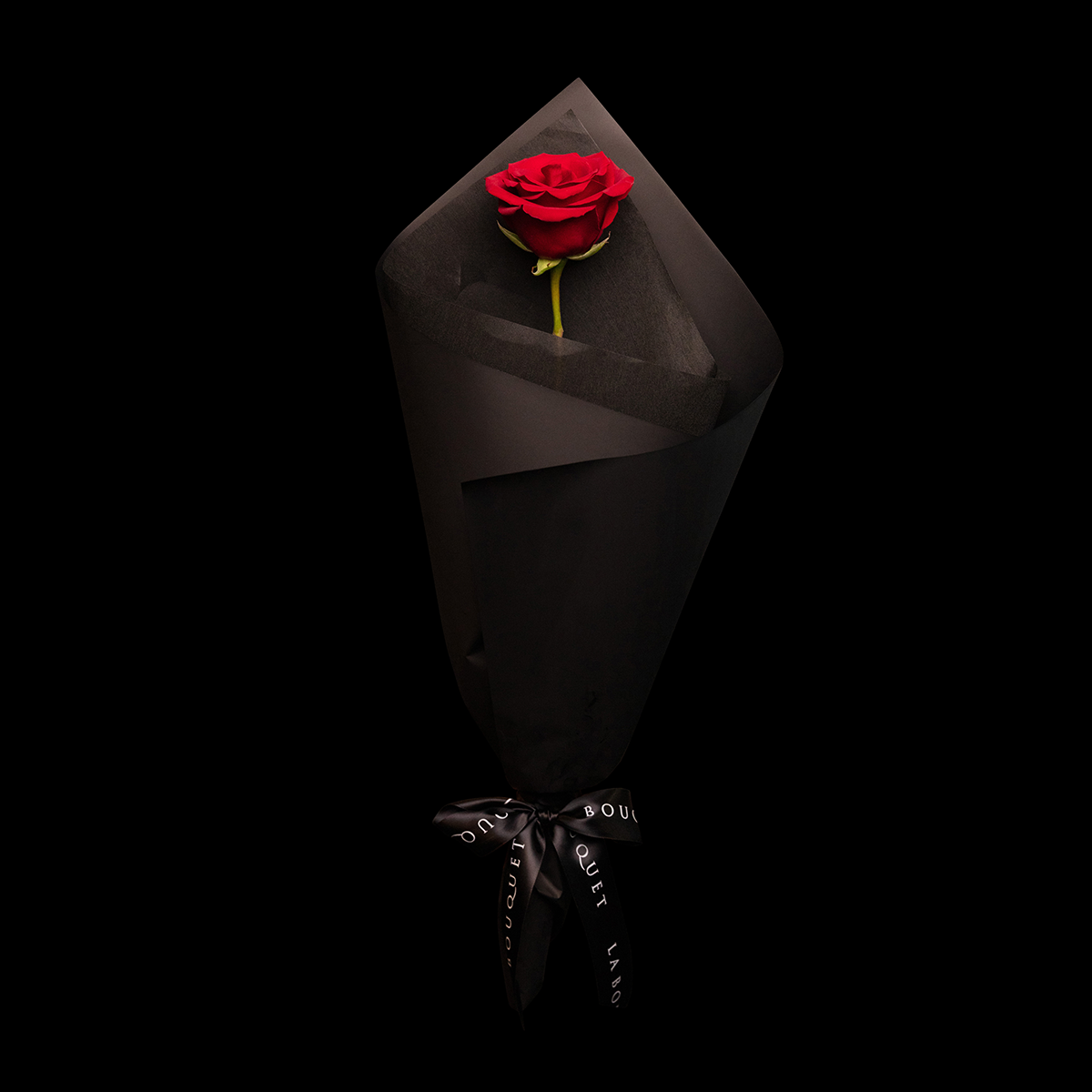 A Rose of Love